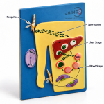 Blood and Tissue Protozoal Infection Model